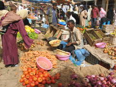 Markt in Erfoud von Jürgen Werner - www.reisenunderleben.net