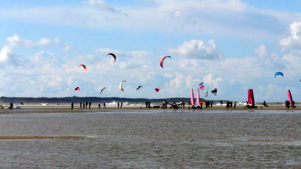 Bunte Kite Segel am Strand vom Brouwersdam