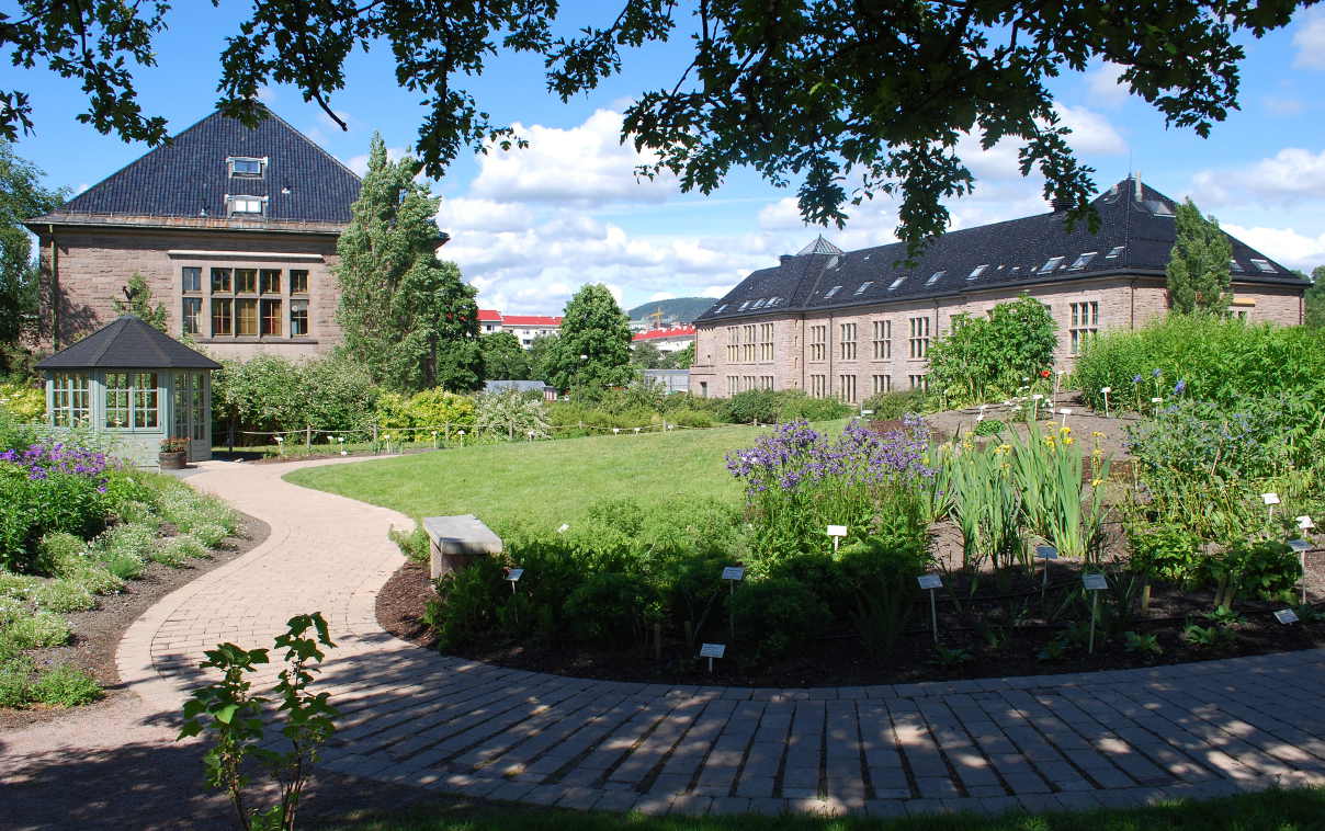 Botanischer Garten Oslo