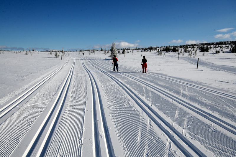 Loipe bei Sjusjøen 