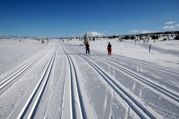 Loipe bei Sjusjøen 