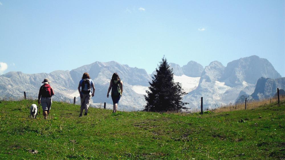 Zwieselalm mit Gletscher-Aussicht