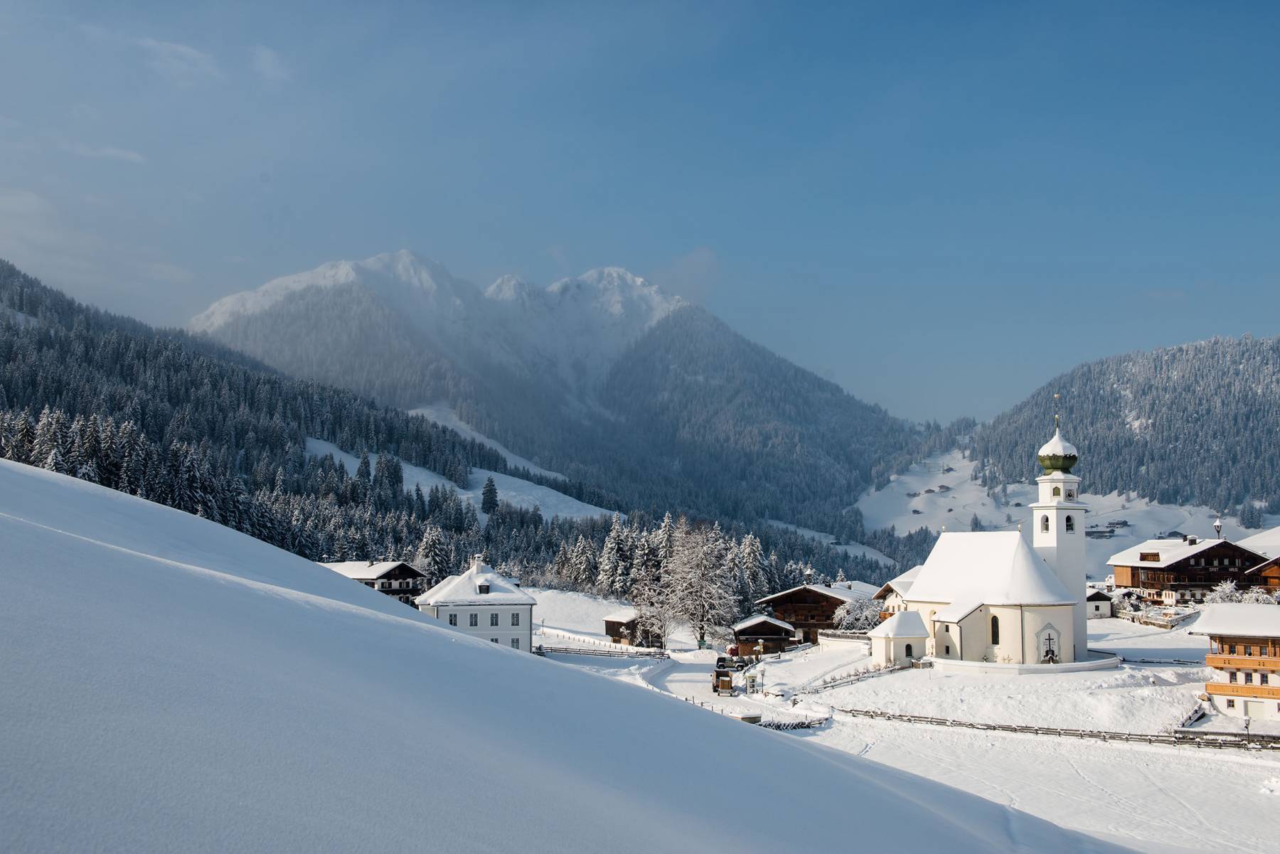 WINTERWANDERN IN DER WILDSCHÖNAU