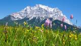 Kräutersammeln in der Zugspitzregion von Hotel Post Lermoos/Albin Niederstrasser c/o ULPR