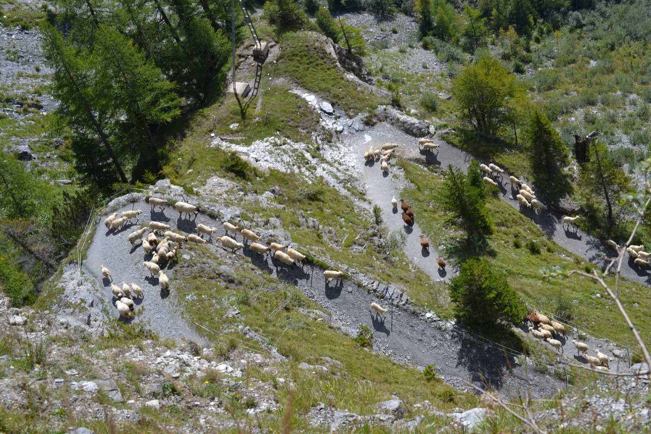 Die letzten Serpentinen des Gemmiweges