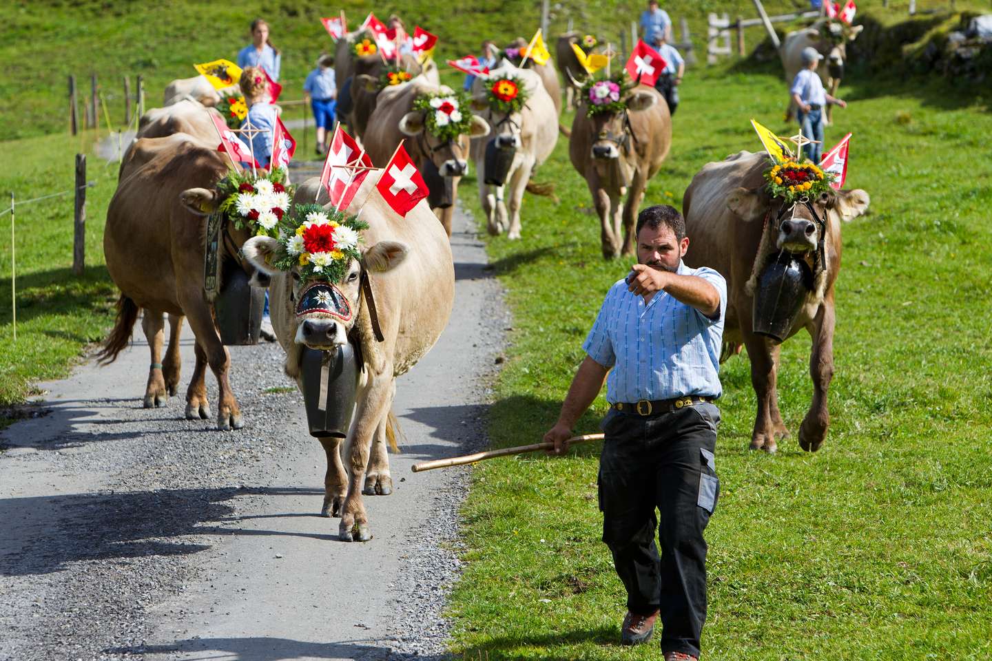 Alpabzug in Engelberg