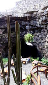 das schwarze Loch - Abstieg zur Grotte (Jameos del Agua)