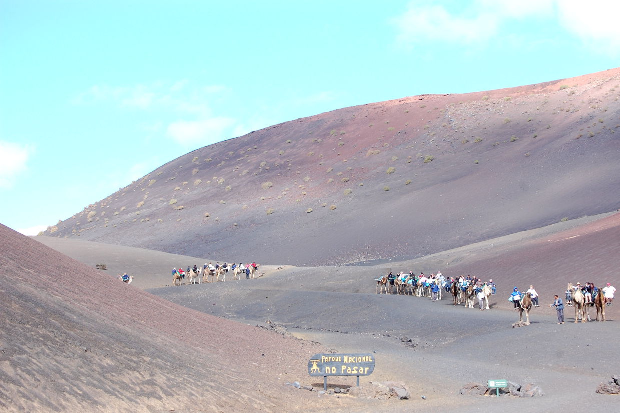 Dromedarreiten auf Lanzarote