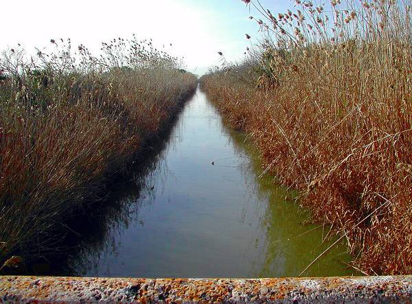 Albufera channel Mallorca.