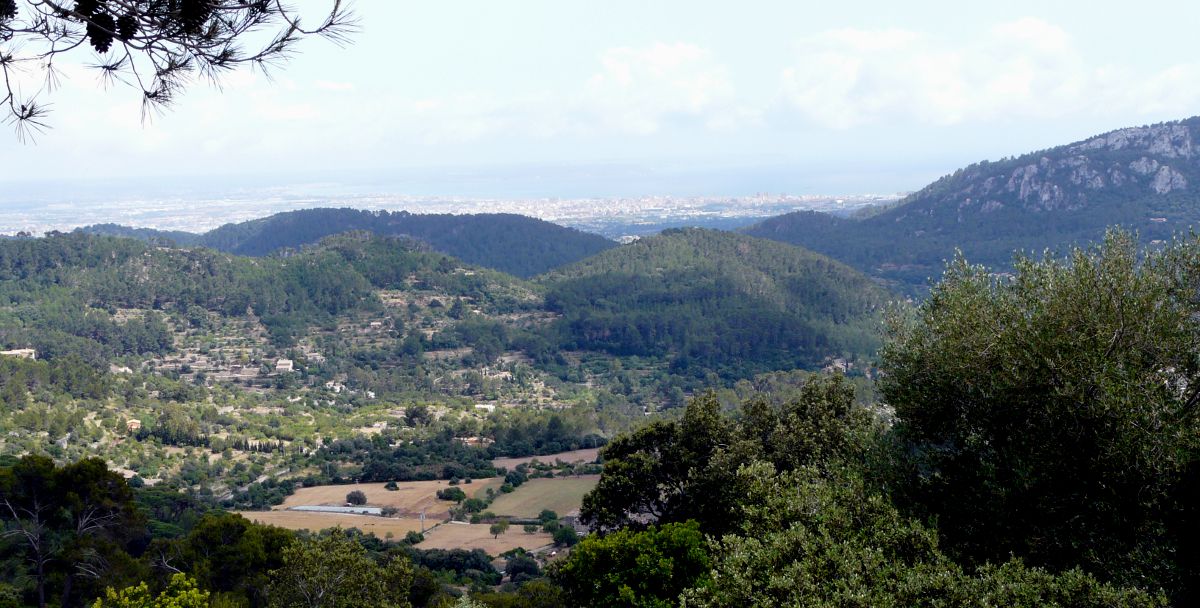 Palma - gesehen aus der Tramuntana, Nähe Banyalbufar