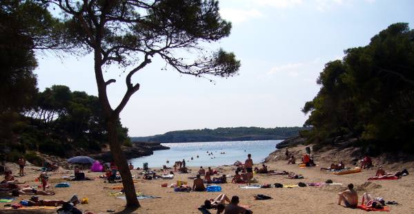 sa Barca Trencada - der Hotelstrand des Hotel Iberostar Club Cala Barca