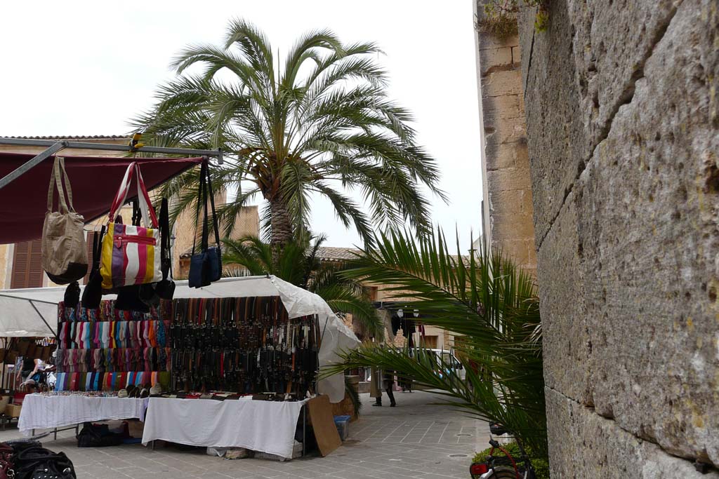 Palme vor der Kirche Sant Andreu