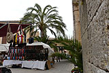 Palme vor der Kirche Sant Andreu