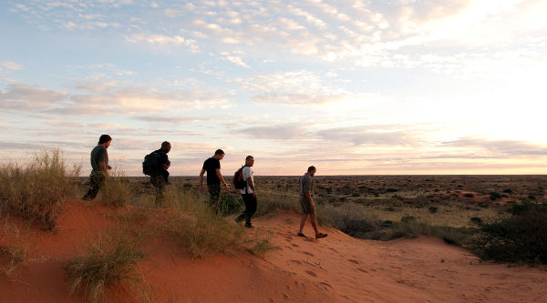 Wandern (Fussafari) im Kgalagadi Transfrontier Park 