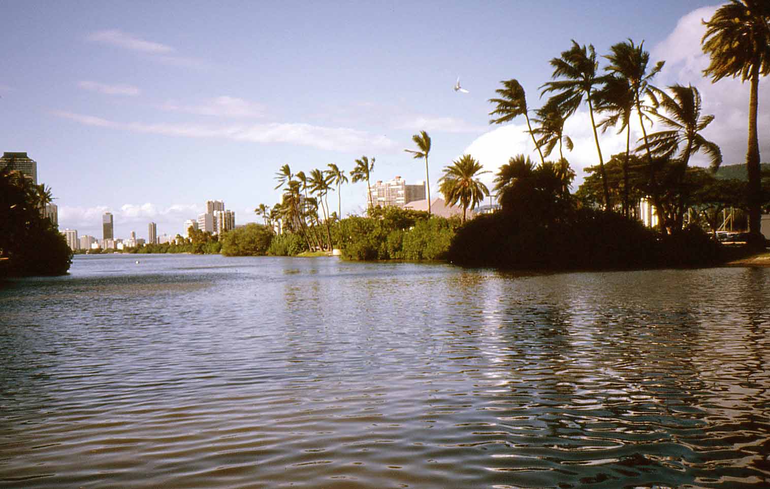 Ala Wai Kanal