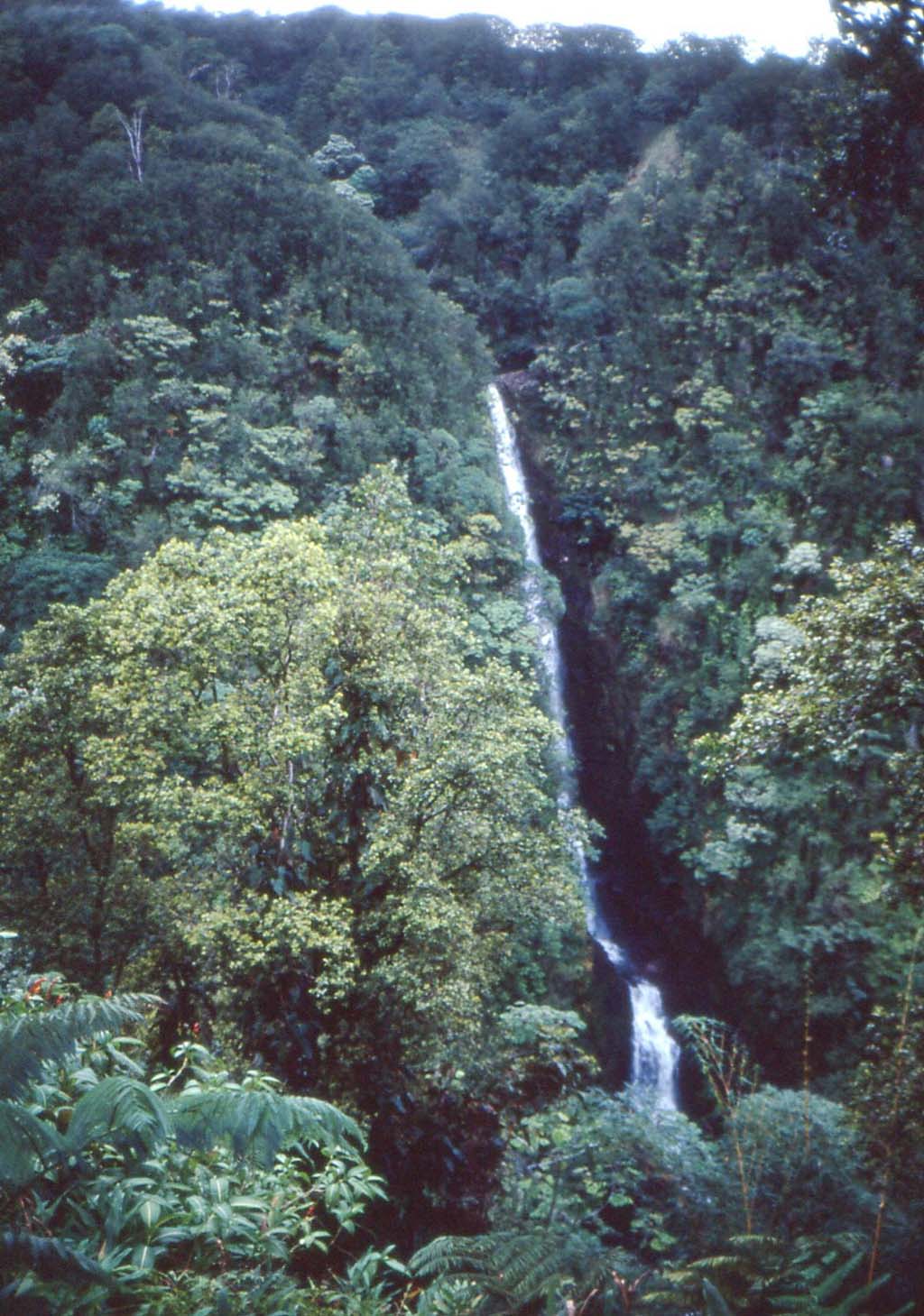 Akaka Falls