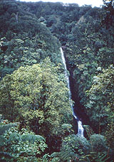 Akaka Falls von Hihawai