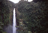 Akaka Falls 3 von Hihawai