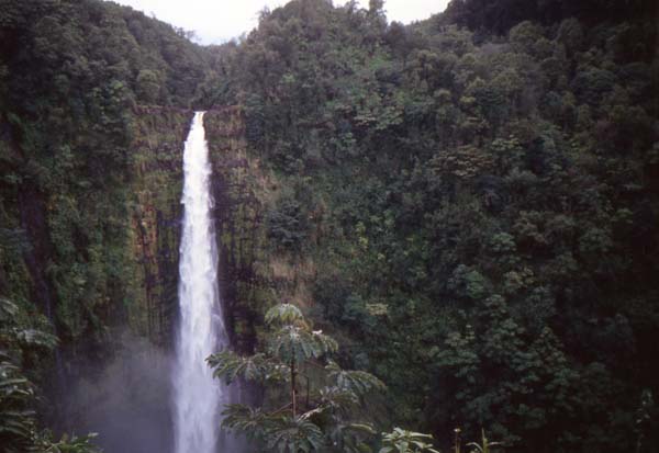 Akaka Falls 3