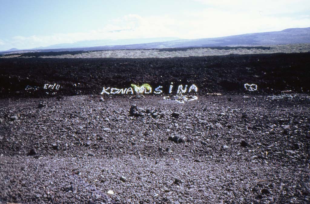 Hawaiian Graffiti: Liebesgrüße