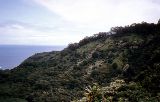 Road to Hana: Ausblick Meer 