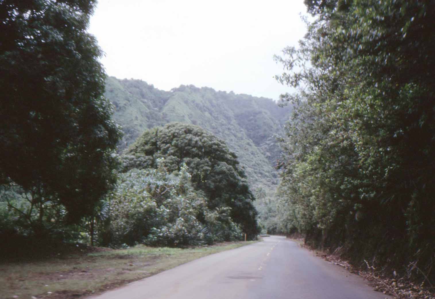 Hihgway 360: The Road to Hana