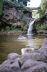 Schwimmen in den 7 Sacred Pools von Hihawai