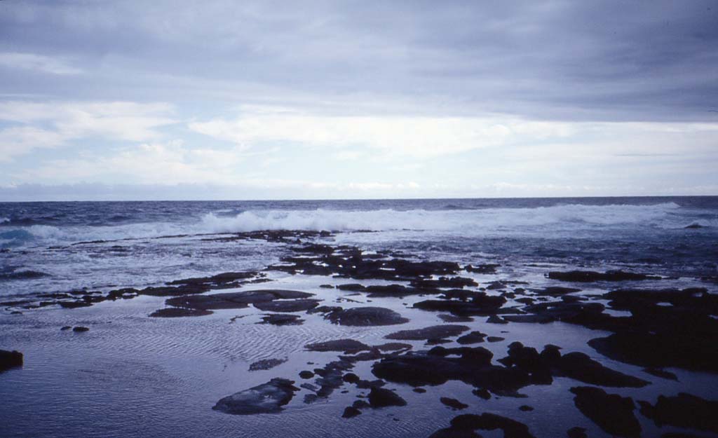 Punalu'u Black Sand Beach 2