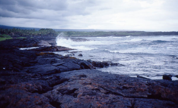 Punalu'u Black Sand Beach 3