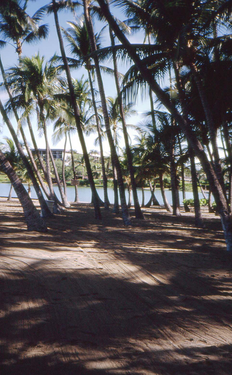 bei Mauna Lani Beach