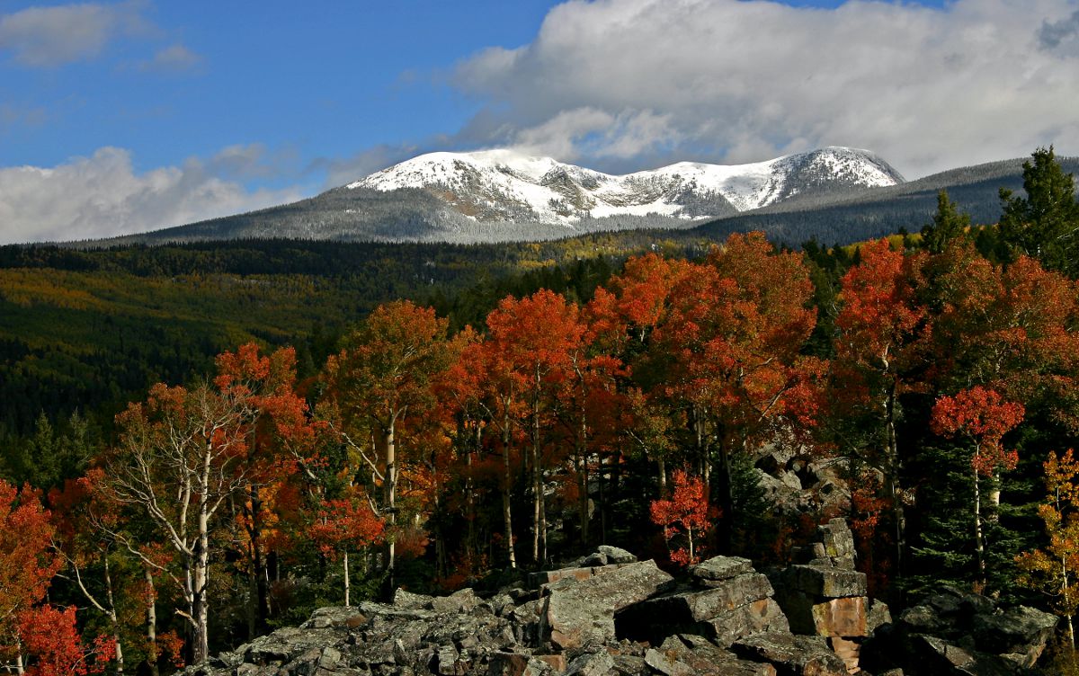 Der Santa Fee Baldy - höchster Berg im Santa Fe County by New Mexico Tourism in Deutschland c/o Mangum Hills Balfour