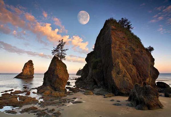 Der Kalaloch Beach im Olympic Nationalpark